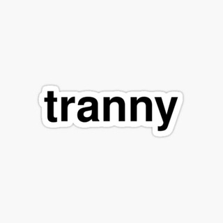 Bandeira Trans